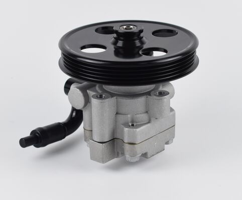 پمپ فرمان قدرت از چین قطعات سیستم شاسی خودرو دقت بالا 1102DAA03701N 60bar دو لوله